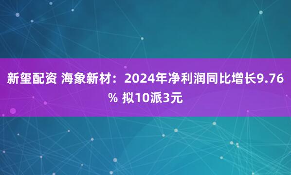 新玺配资 海象新材：2024年净利润同比增长9.76% 拟10派3元