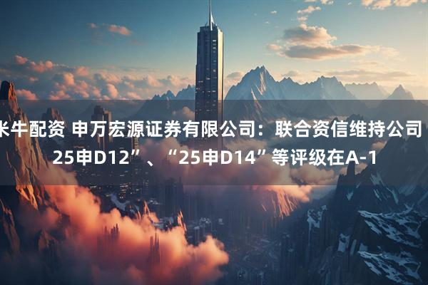 米牛配资 申万宏源证券有限公司：联合资信维持公司“25申D12”、“25申D14”等评级在A-1